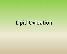 Image result for Lipid Oxidation