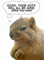 Image result for Cute Nut Saying