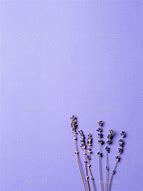 Image result for Lavender Purple