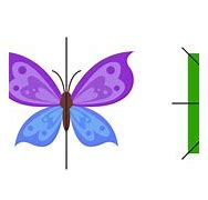 Image result for Asymmetrical Butterfly