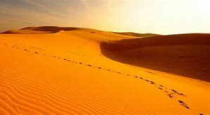 Image result for Desert Oasis Egypt