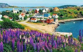 Image result for Newfoundland Towns