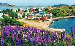 Image result for Newfoundland Towns and Villages