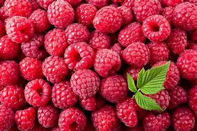 Image result for Rusberrys