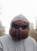 Image result for Beard N95 Mask