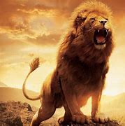 Image result for Powerful Lion Art