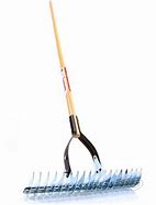 Image result for Dethatching Rake