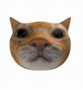 Image result for Max Cat Roblox