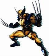 Image result for Wolverine Character