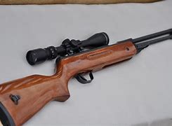 Image result for Pellet Guns High Power