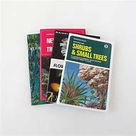 Image result for New Zealand Shrubs