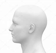 Image result for Head with Hair Pict