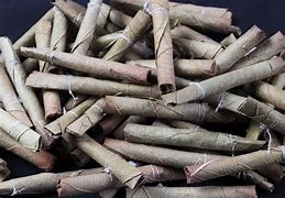 Image result for Smoking a Bidi