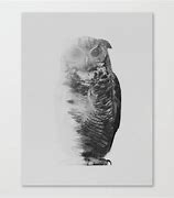 Image result for Black and White Owl Canvas Prints