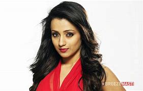 Image result for Trisha Krishnan Husband