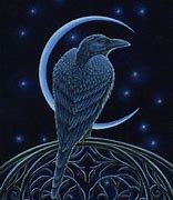 Image result for Raven Trickster