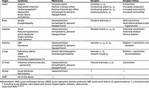 Image result for 5 Ps of Pheochromocytoma