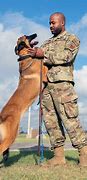 Image result for United States Military Police K9 Dogs