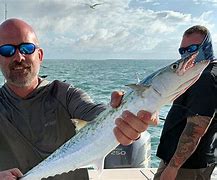 Image result for Florida Mackerel