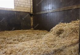 Image result for Empty Horse Stall