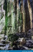 Image result for Inside Cave Forest