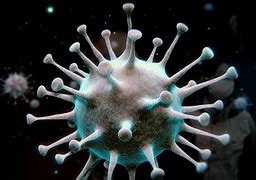 Image result for Aquareovirus