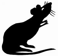 Image result for Halloween Rat Silhouette