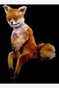 Image result for Car Fox Meme