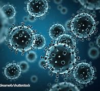 Image result for Influenza Virus Picture