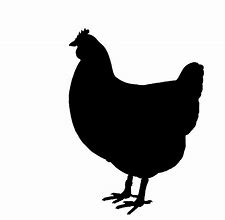 Image result for Chicken Silhouette