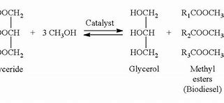 Image result for Fatty Acid Ester