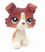 Image result for Lps Collie