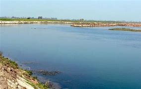 Image result for Yamuna River