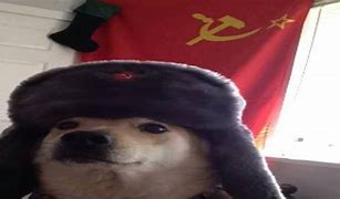 Image result for Soviet Dog PFP