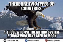 Image result for Eagle Eye Funny Meme