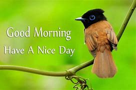 Image result for Good Day Birds