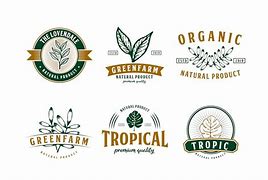 Image result for Tropical Kicks Logo