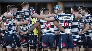 Image result for Bro Gwrnat Rugby