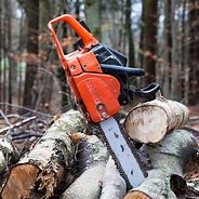 Image result for Michelin Chainsaw