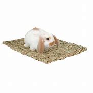 Image result for Woven Grass Mat