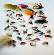 Image result for Scarlett Fly Fishing Tackle