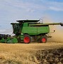 Image result for Wheat Harvest Pic