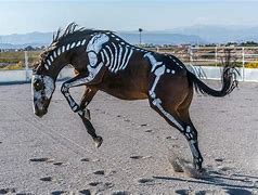 Image result for SCP Skeleton Horse