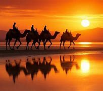 Image result for Camel Caravan Sphinx Wallpaper