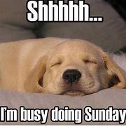 Image result for Sunday Dog Memes