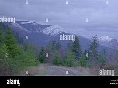 Image result for Logging Road Height Map