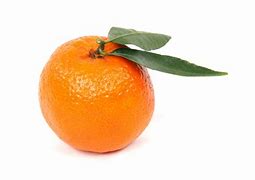 Image result for Clementine Gyat