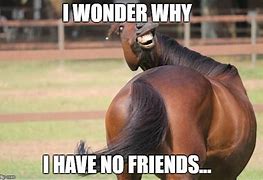 Image result for Horseshoe Pit Meme