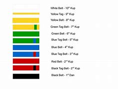 Image result for Belts in Taekwondo