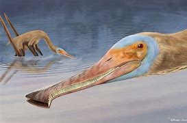 Image result for Alaska Pterosaur